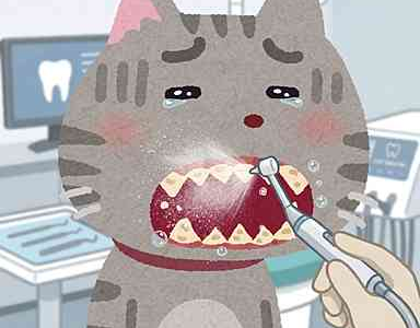 エアーフロー🦷